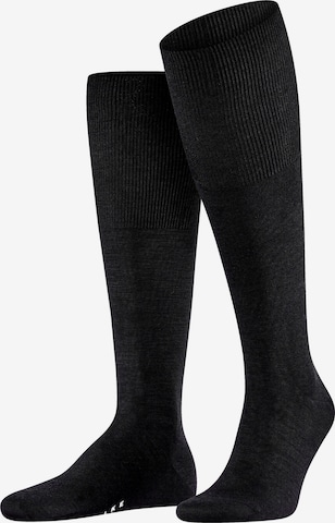 FALKE Knee High Socks 'Airport' in Black: front