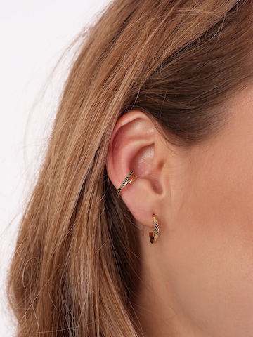 Lucardi Earrings in Gold: front