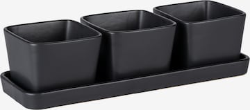 Wenko Bowl in Black