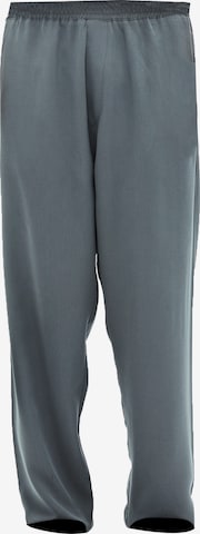 pilka VAMOS CLO Kelnės: priekis