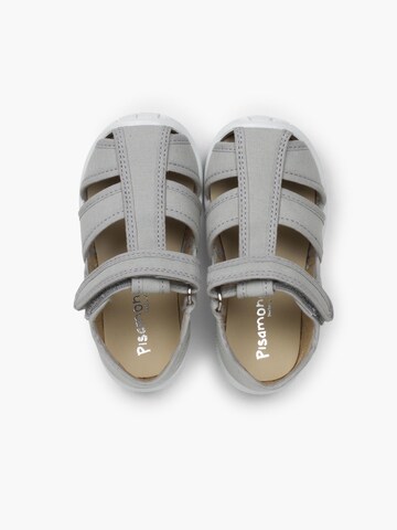 Pisamonas First-step shoe in Grey