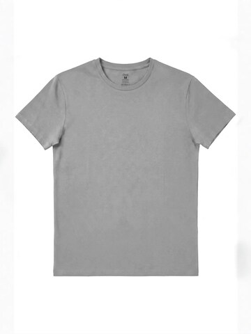 T-Shirt 'T-Shirts' ÖTS en gris : devant