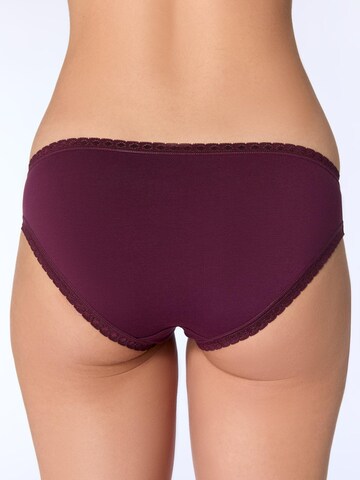 Albero Natur Panty 'Bio-Baumwoll-Slip mit Spitze – 3er Pack' in Black