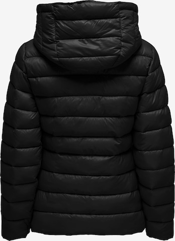 ONLY Winter jacket 'SKY' in Black