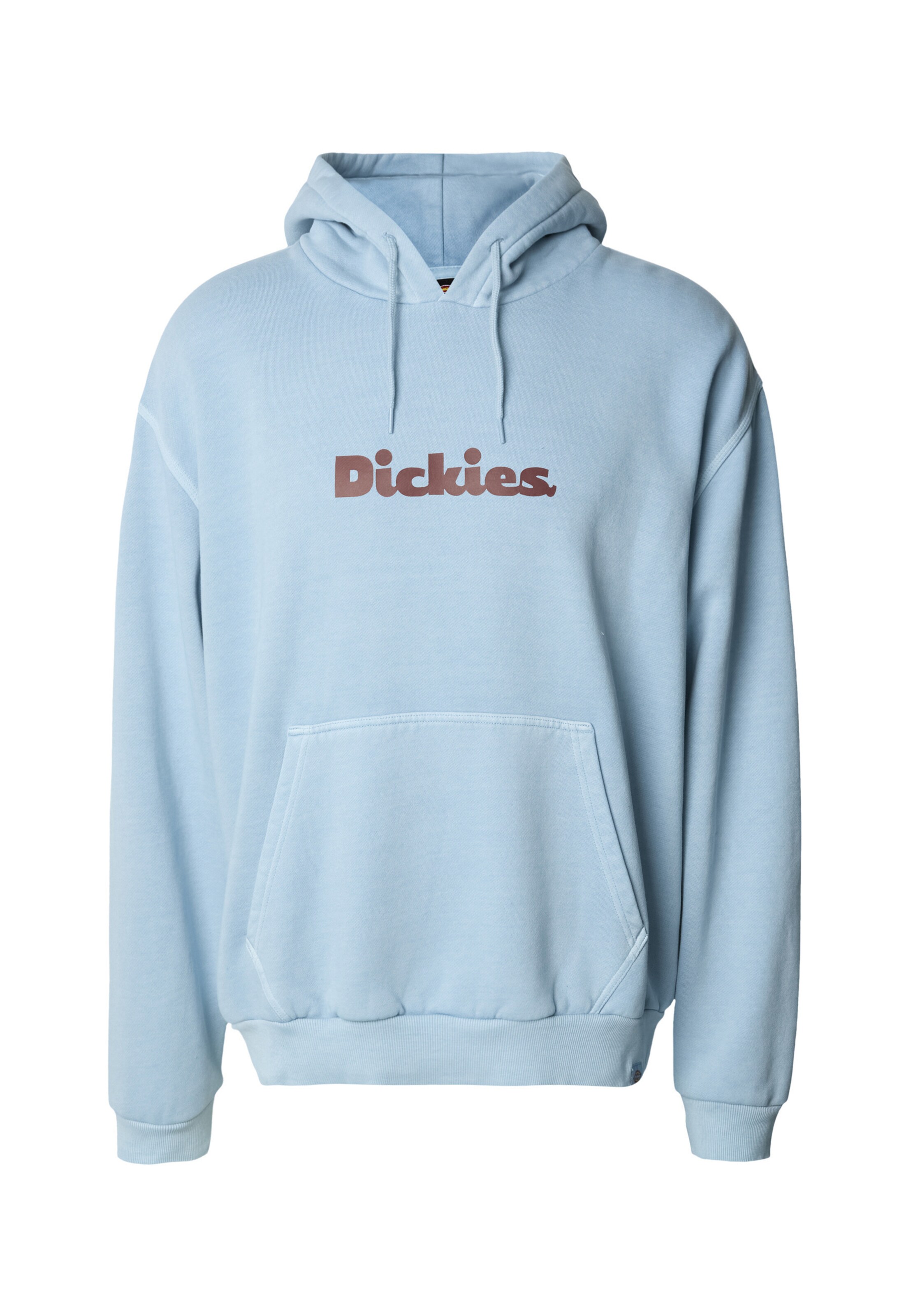 Felpa 'Slayden' di DICKIES in blu: frontale