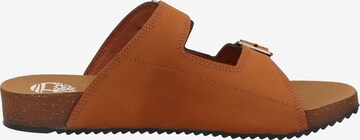 TIMBERLAND Huisschoenen in Bruin