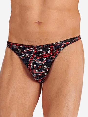 HOM Panty 'Malcom' in Mixed colors