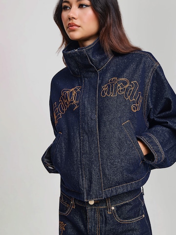 mėlyna Ed Hardy Demisezoninė striukė: šonas