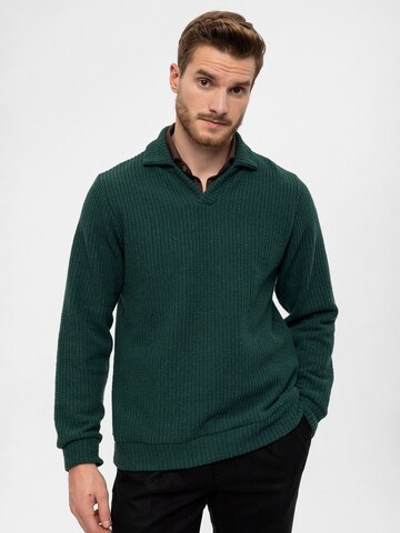 Antioch Pullover in Grün