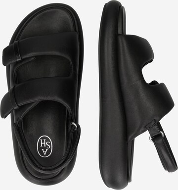 ASH Sandal 'S24-VINCI01' in Black