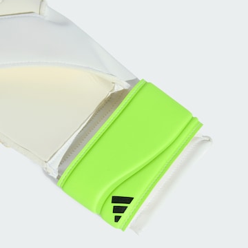 Gants de sport 'Predator' ADIDAS PERFORMANCE en vert