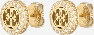 Cercei de la GUESS pe auriu: față