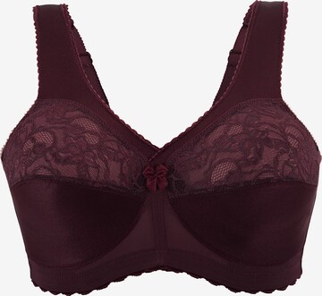 GLAMORISE Minimiser Minimizer in Red: front