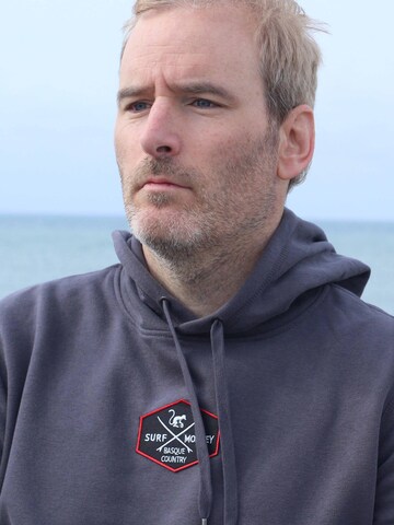 Surf Monkey - Sweatshirt em cinzento: frente