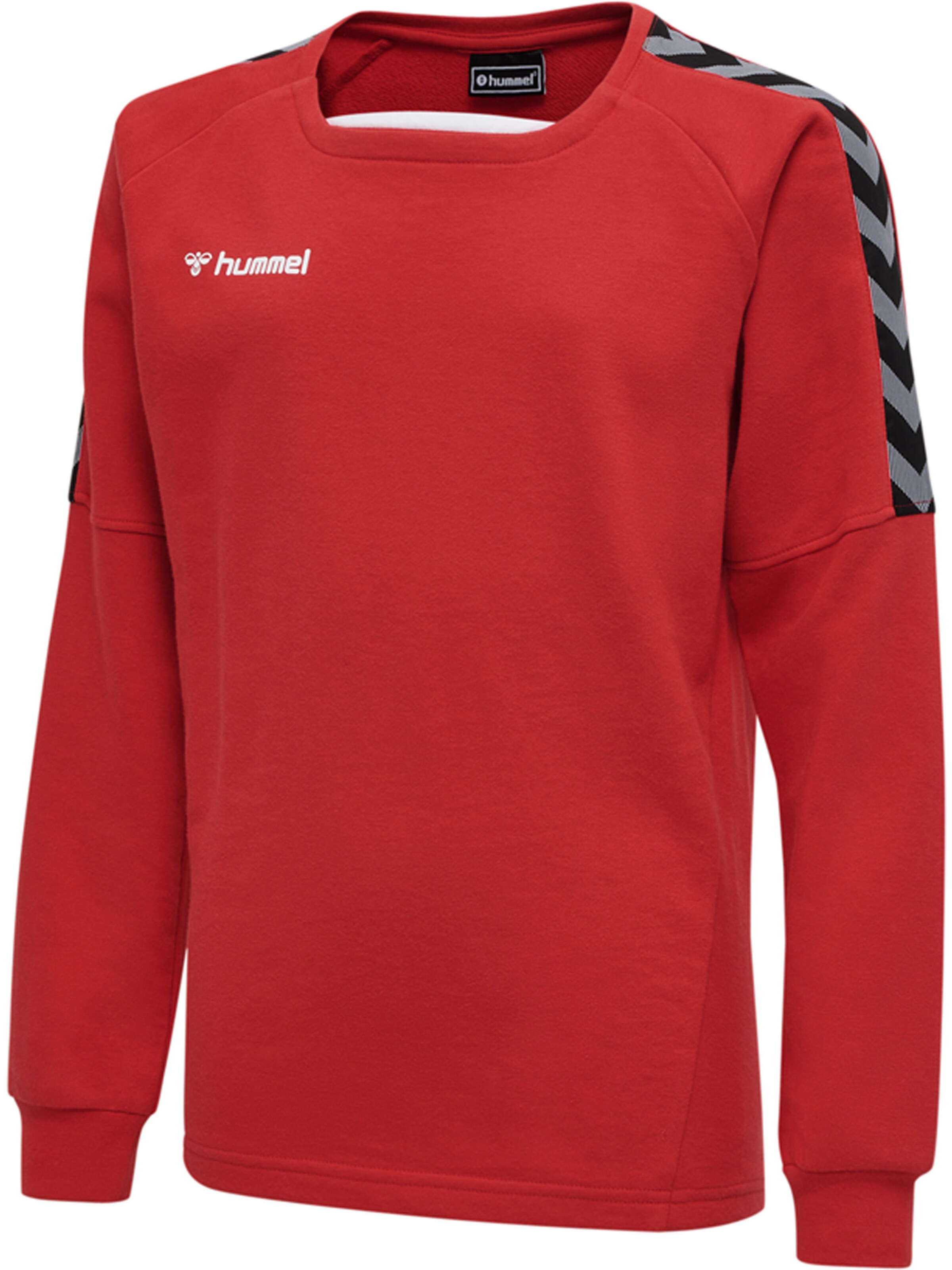 Hummel Sportsweatshirt 'Authentic' i rød