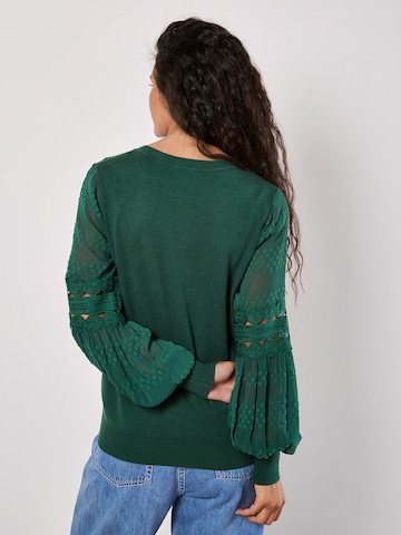 Pull-over Apricot en vert