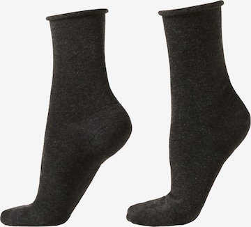 CALZEDONIA Socks in Black: front