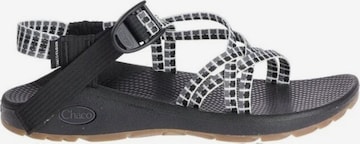 Chaco Sandaalit 'WOMENS ZX/1' värissä musta: etupuoli
