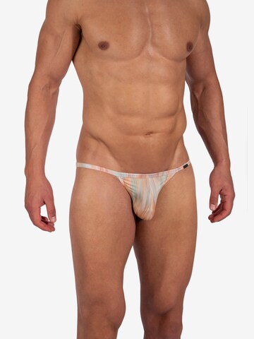 Olaf Benz Panty ' RED2383 Riotanga ' in Pink: front