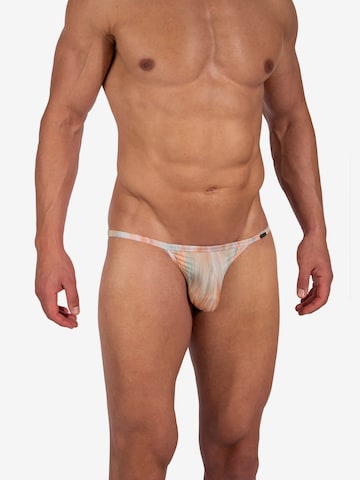 Slip ' RED2383 Riotanga ' Olaf Benz en rose : devant