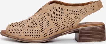 CESARE GASPARI Sandals in Brown: front