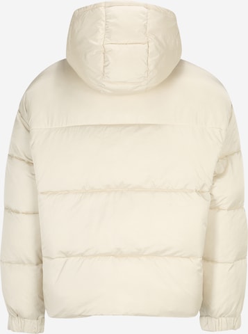 Calvin Klein Jeans Зимняя куртка в Бежевый
