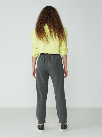 C&City Tapered Hose in Grau