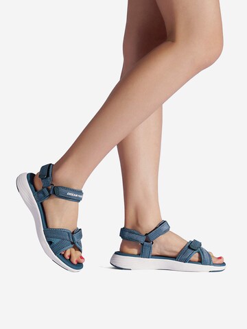 Sandalo da trekking di Dream Pairs in blu
