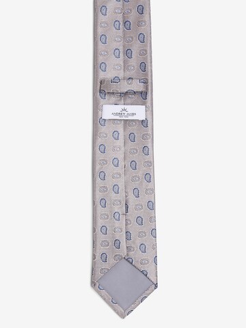 Andrew James Tie in Grey