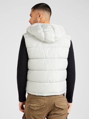 Gilet di ALPHA INDUSTRIES in grigio