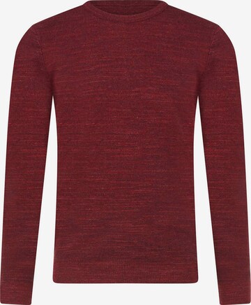 PIERRE CARDIN Sweater in Red: front