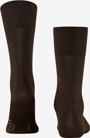 FALKE Socks in Brown