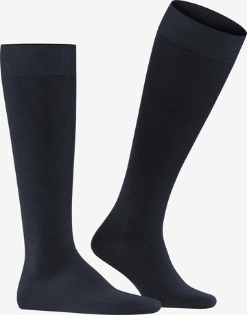 FALKE Knee High Socks 'Energizing Wool' in Blue: front