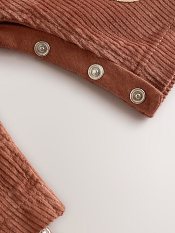 Next Set in Beige