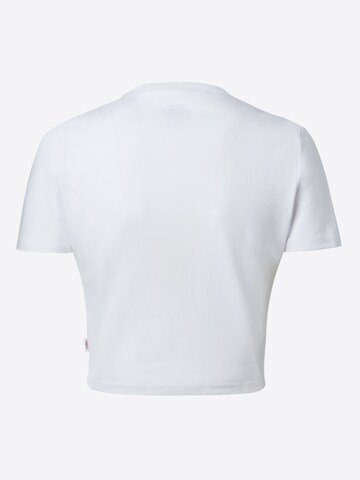 T-shirt 'MAPLE VALLEY' DICKIES en blanc