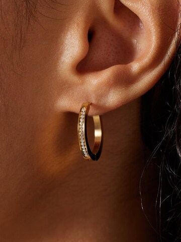 Lucardi Earrings in Gold: front