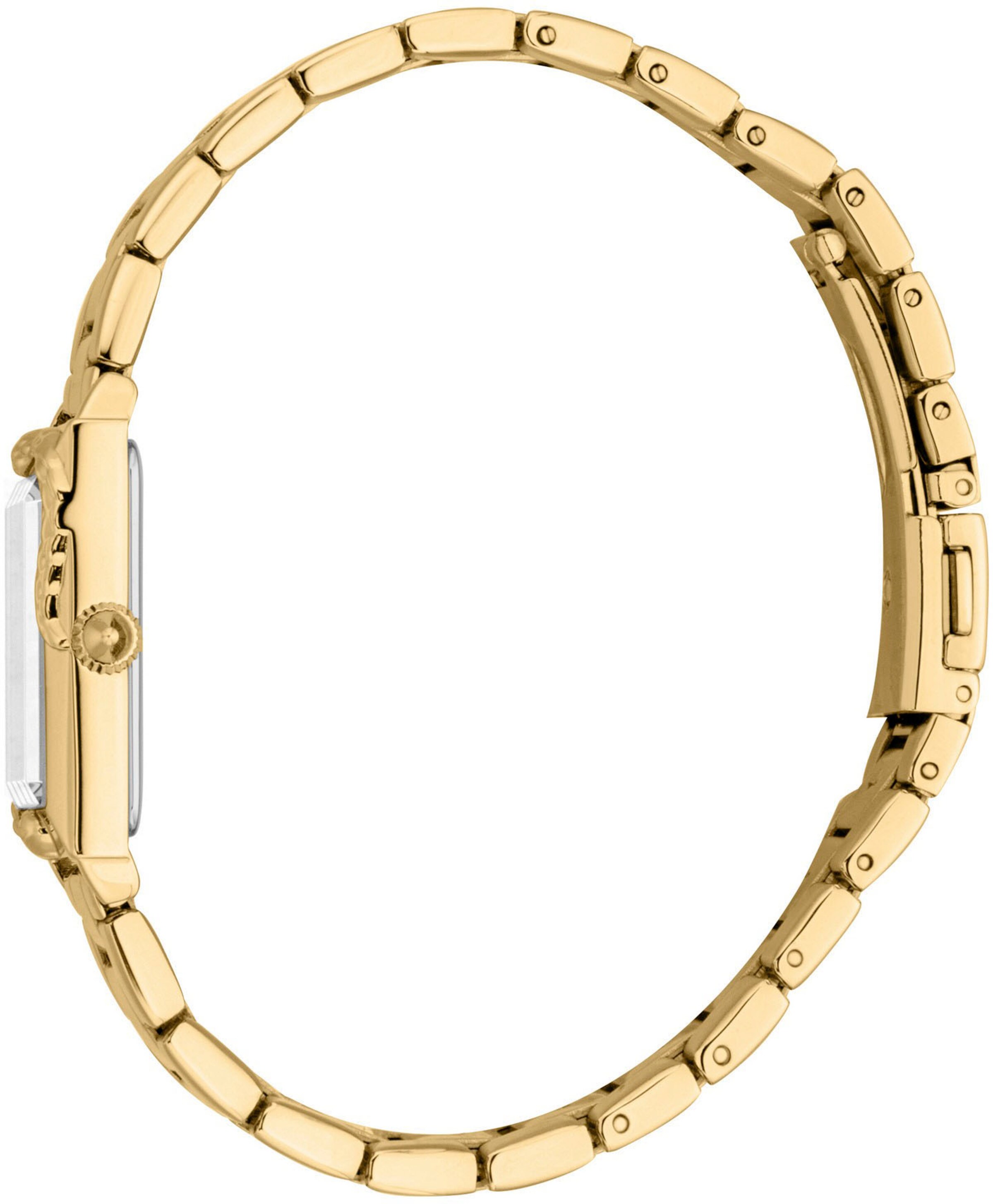 Just Cavalli Time Analog Watch in Gold