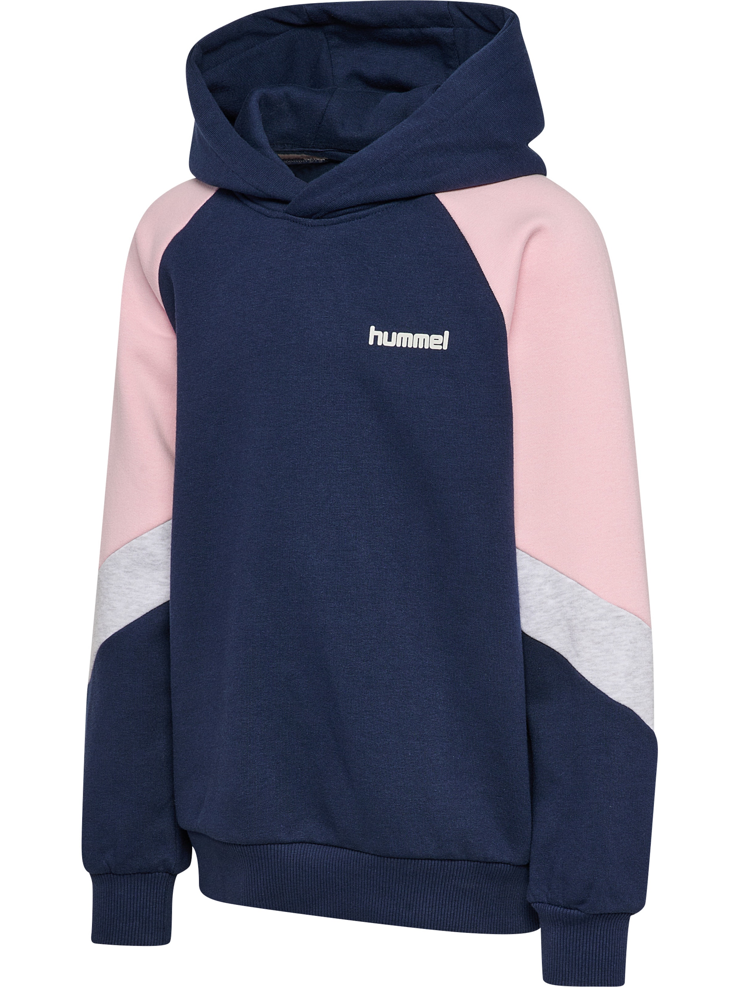 Hummel Sweatshirt in Blue
