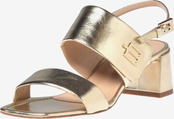 Baldinini Sandalen met riem in Goud: voorkant