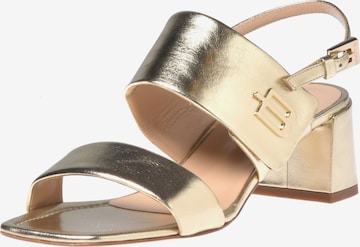Baldinini Strap Sandals in Gold: front