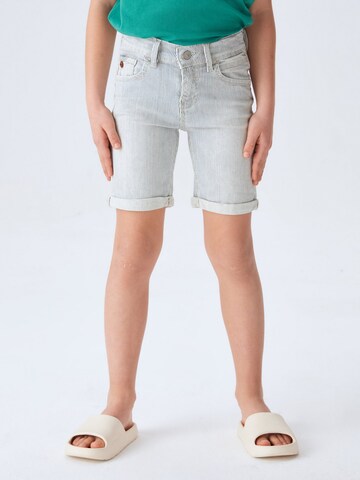 LTB Skinny Jeans 'Lance B' in Grey: front