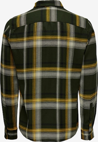 Only & Sons Regular fit Overhemd in Groen