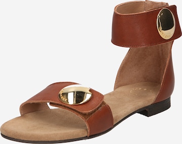 Ca'Shott Sandals in Brown: front