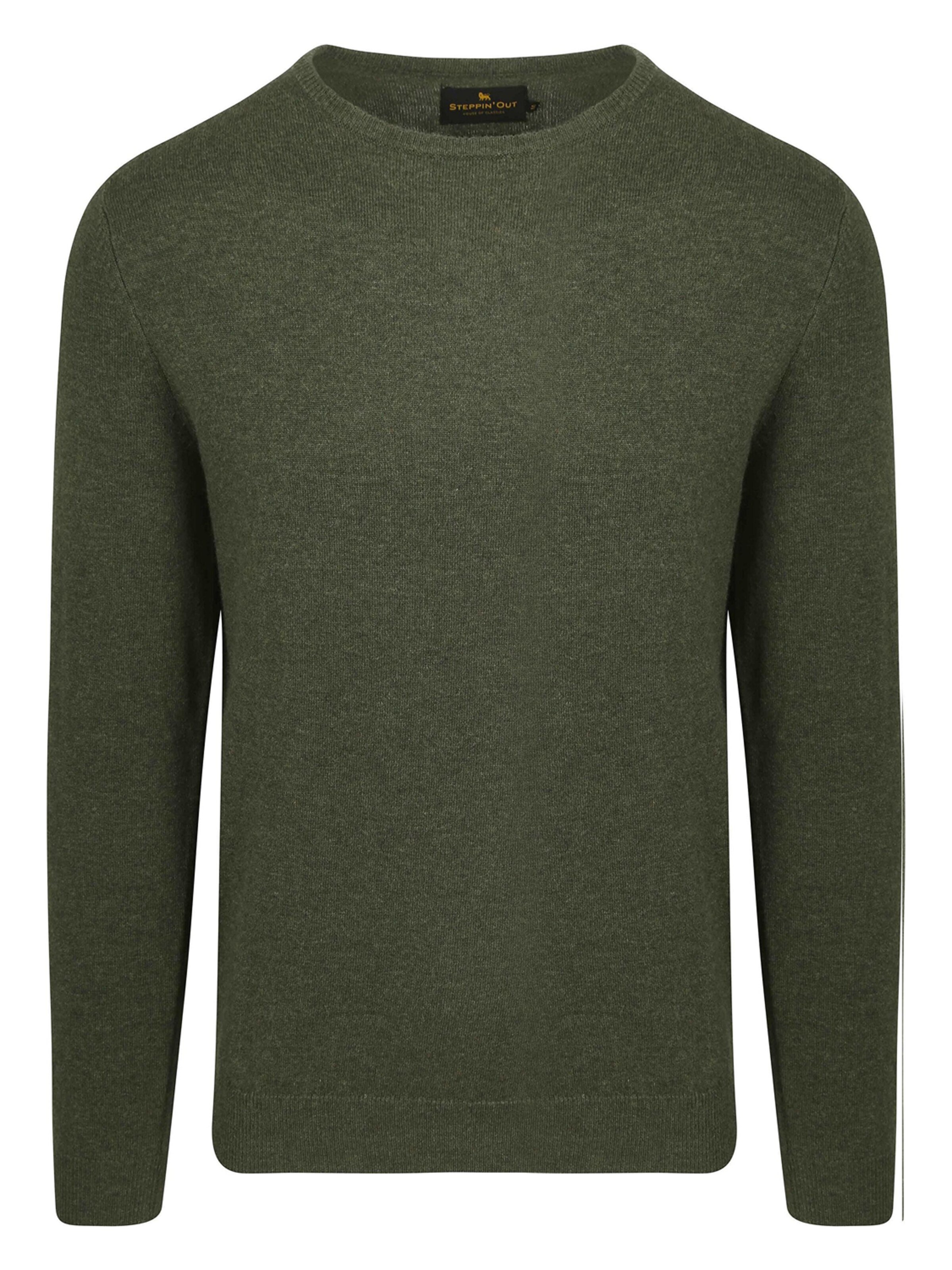 Steppin' out Sweater in Green: front