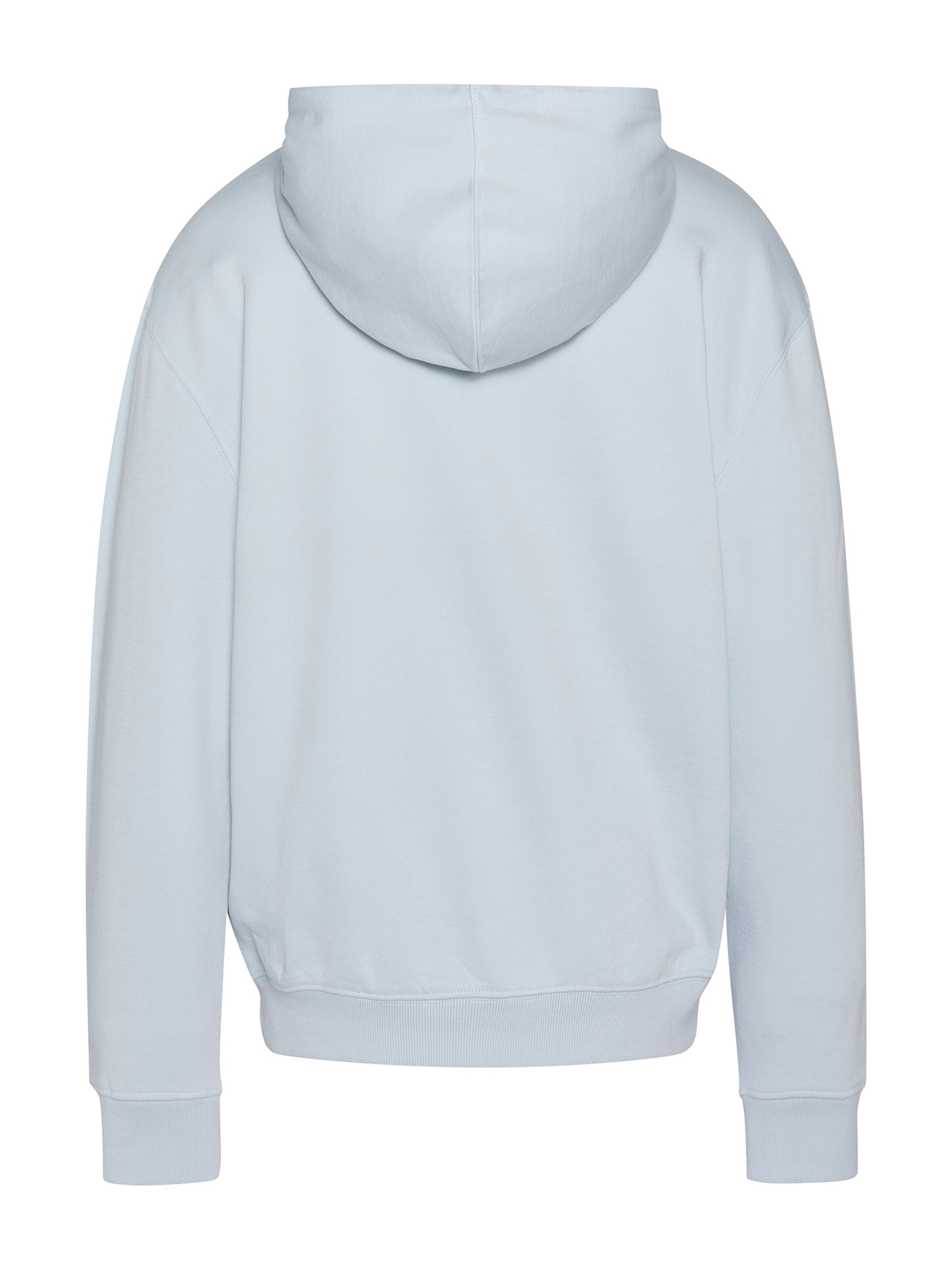 Schott NYC Sweatshirt in Blue