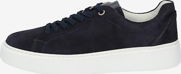 SIOUX Sneakers laag '003' in Blauw