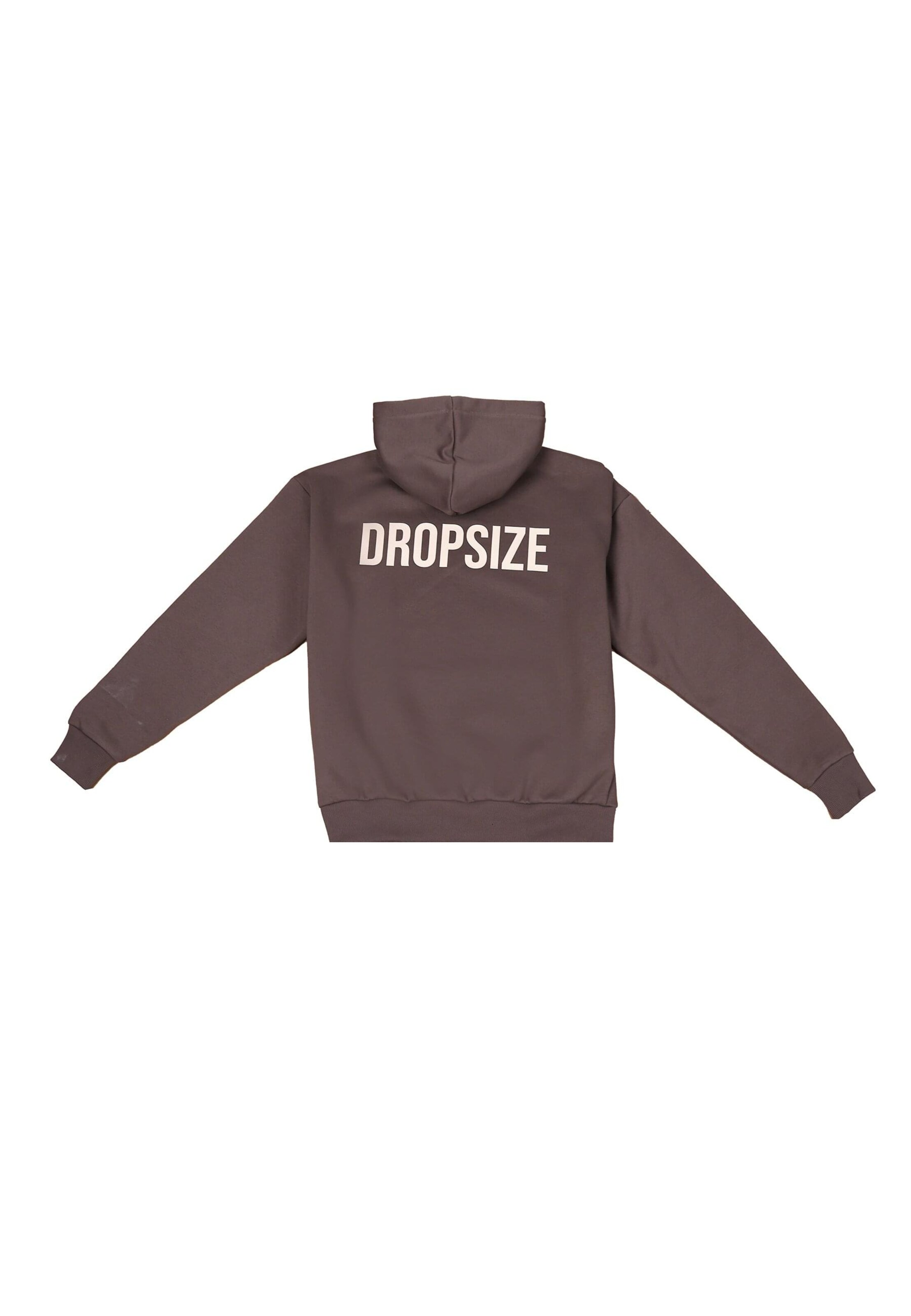 Dropsize Sweatshirt in Bruin