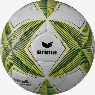 ERIMA Ball in Green: front