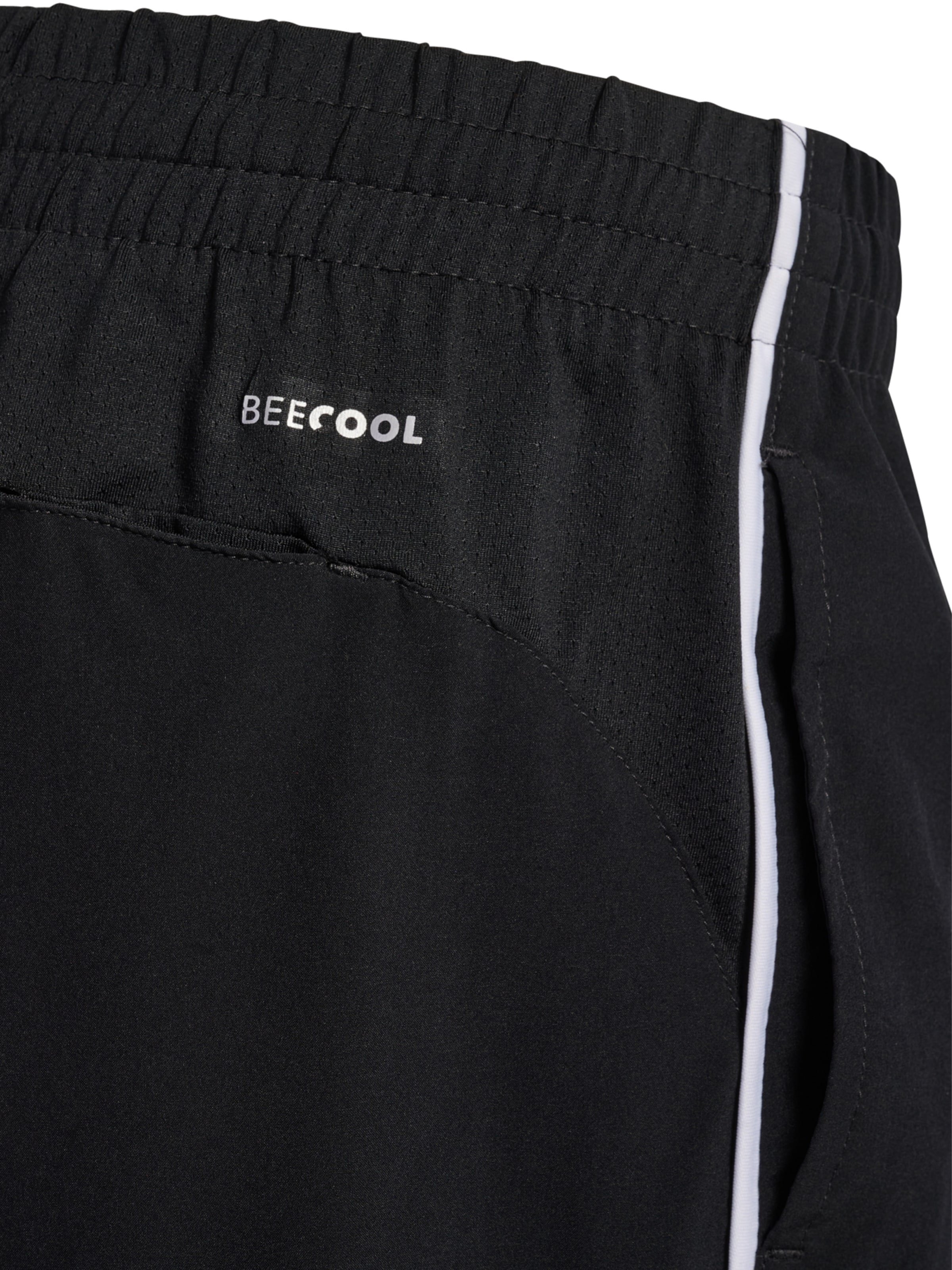 Hummel Regular Sportbroek 'Referee' in Zwart