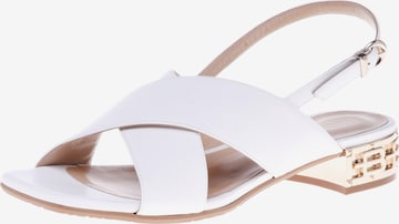 Baldinini Sandalen met riem in Wit: voorkant